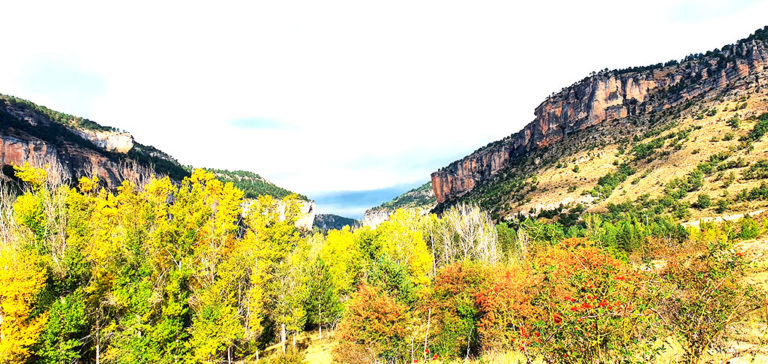 paisaje-ruta-arboles-casa-rural-el-bu-peralejos-de-las-truchas