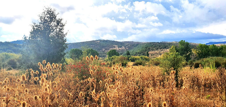 rutas-casa-rural-el-bu-peralejos-de-las-truchas