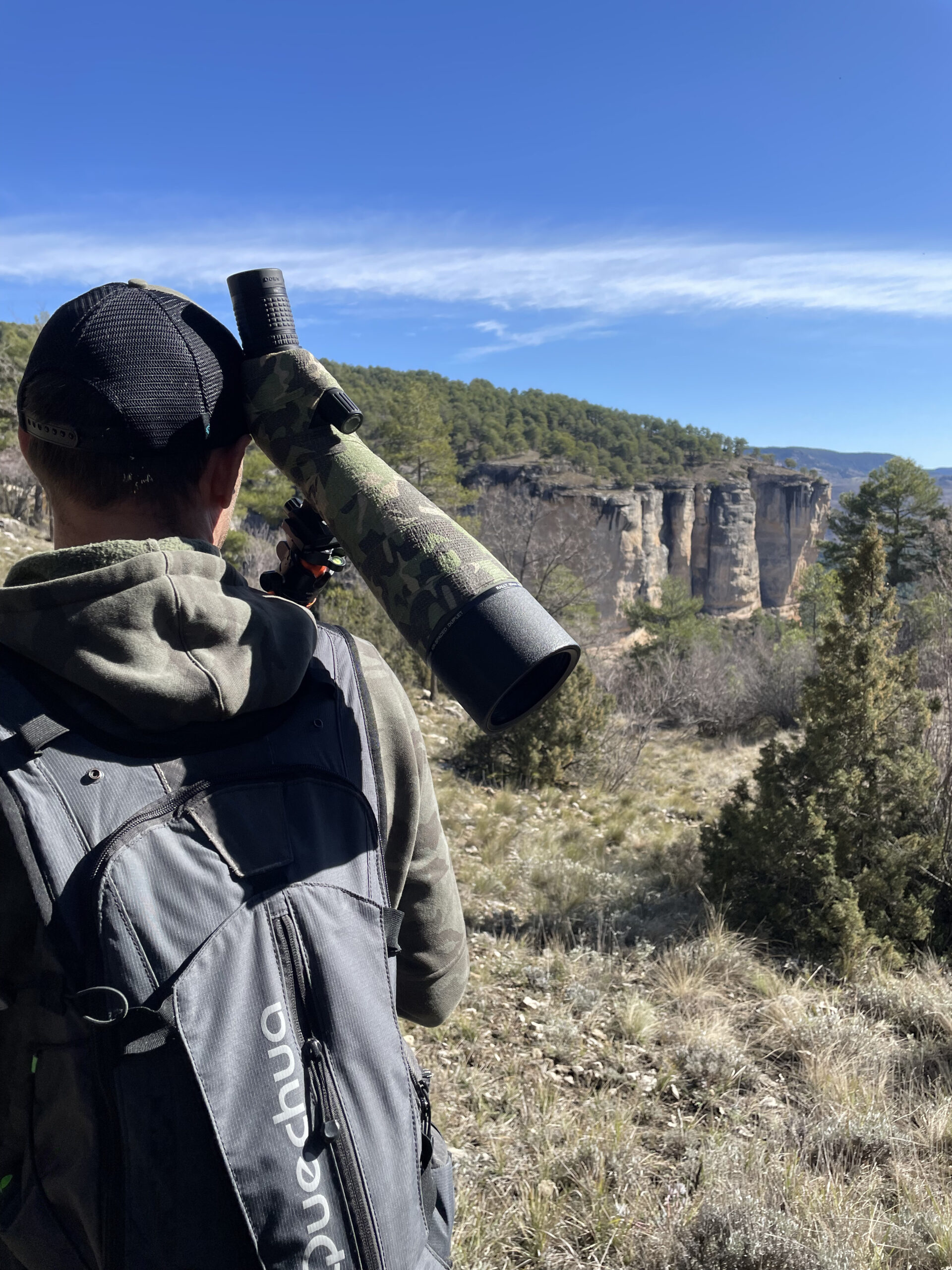 observación de aves