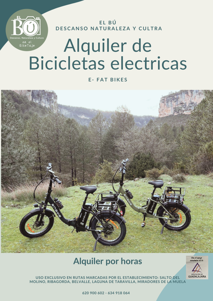 E-Bikes