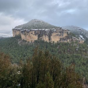 Hi El Bu Mirador Pajaros 10